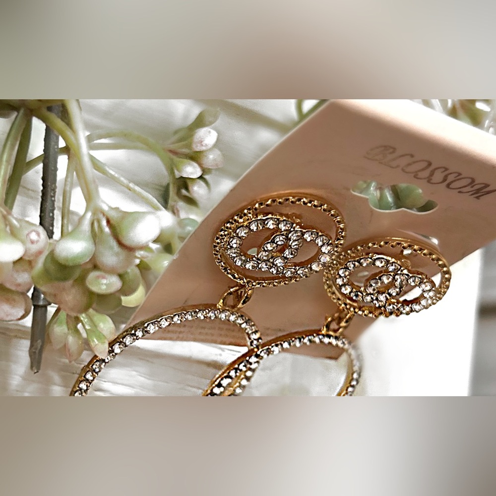 The Blossom Apparel Gold and Silver Oval Earrings - Picture 3 of 5